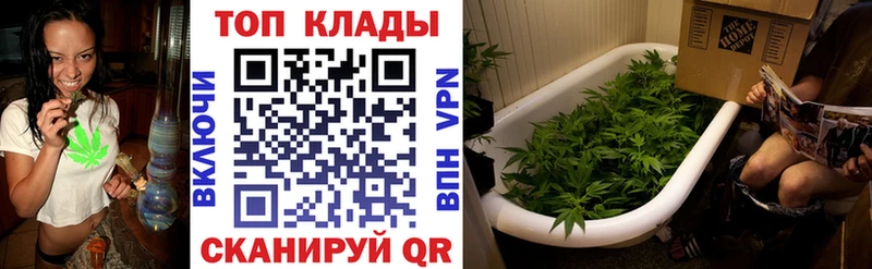 Купить наркотик Кисловодск Гашиш  Канабис  KRAKEN маркетплейс  ТГК  Меф мяу мяу  КОКАИН 