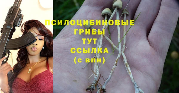 герыч Вяземский