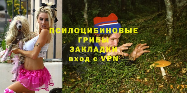 герыч Вяземский